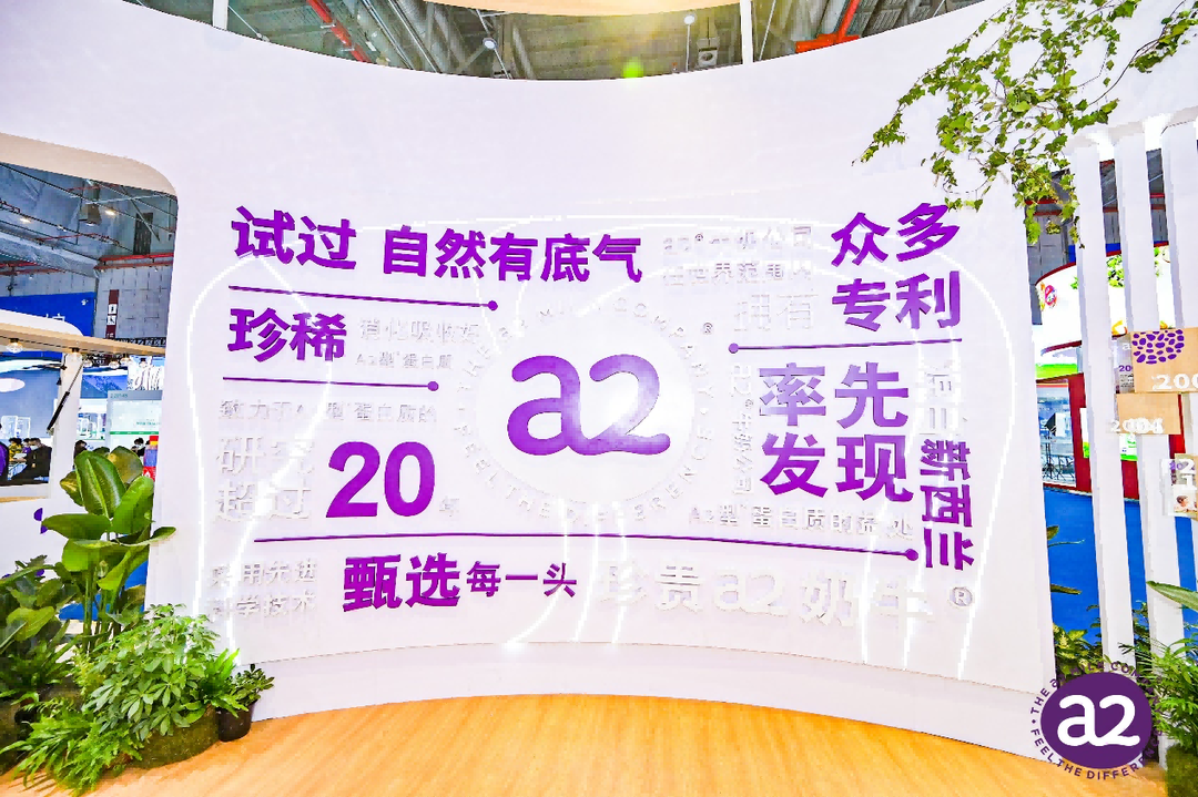 图片6(1).png